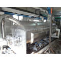 Petrochemical sludge hollow blade paddle dryer